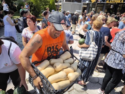 Podjela povrća u Virovitici