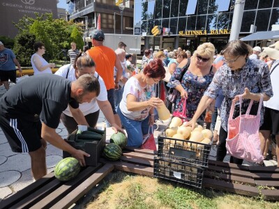 Podjela povrća u Virovitici