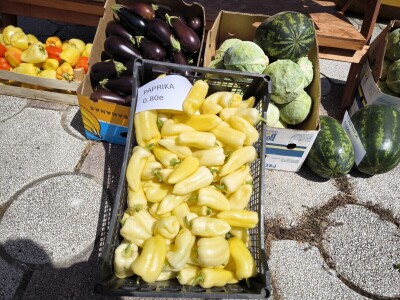 Podjela povrća u Virovitici