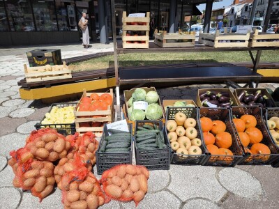 Podjela povrća u Virovitici