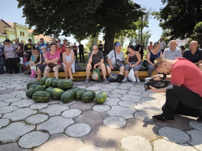 Podjela povrća u Virovitici