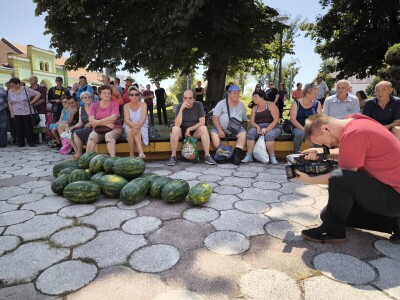 Podjela povrća u Virovitici