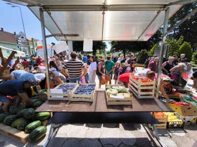 Podjela povrća u Virovitici