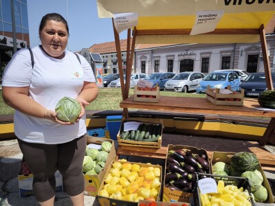 Podjela povrća u Virovitici