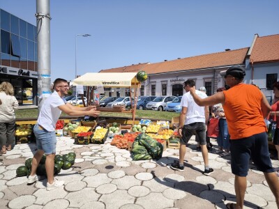 Podjela povrća u Virovitici