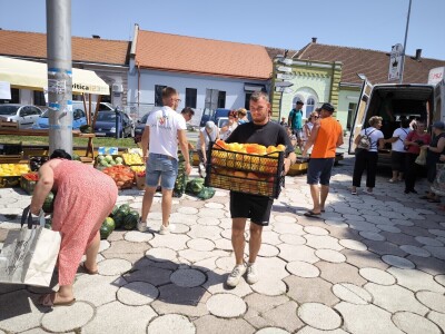 Podjela povrća u Virovitici