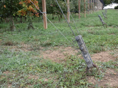 Podloge u voćarstvu