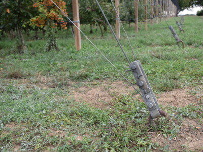 Podloge u voćarstvu