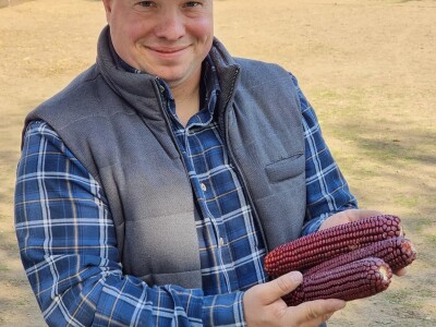 Podolska goveda, buše, racka ovca i konji na salašu Marka Tikvickog