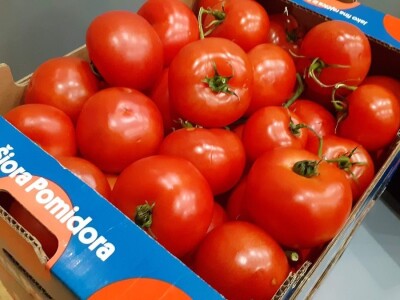 Podravka - kooperanti povrća