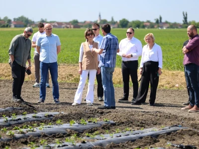 Podravkini kooperanti iz Slavonije