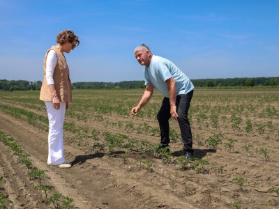 Podravkini kooperanti iz Slavonije