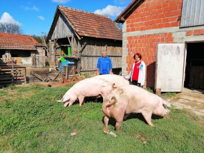 Podravski svinjogojci ugostili slovačke kolege - kod njih nema prakse klanja na OPG-u