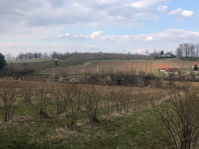 Podrška mladim poljoprivrednicima