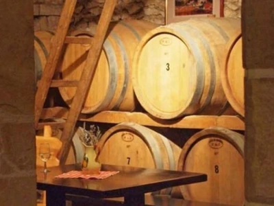 Vinski podrum