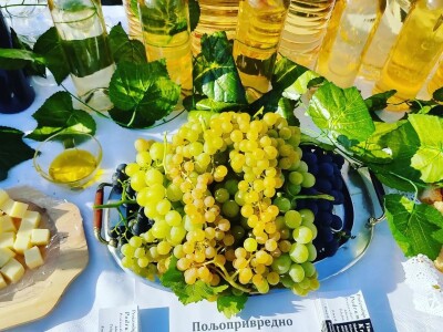 Podrum Kratina Sićevo