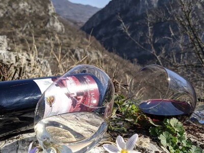 Podrum Kratina Sićevo