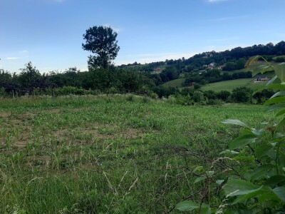 Podsticajna sredstva za poljoprivredu