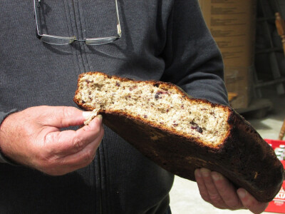 PČogača od aronije PČogača od aronije