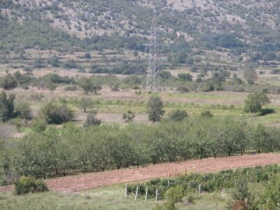 Pogled na Kaloperove bajamike u Vojniću Sinjskom