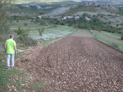 Male plantaže smilja podno Gradine u Vučipolju