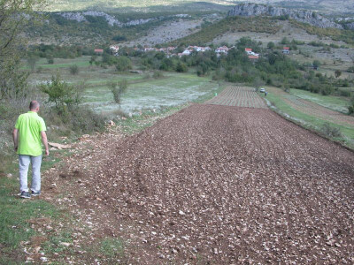 Male plantaže smilja podno Gradine u Vučipolju Male plantaže smilja podno Gradine u Vučipolju