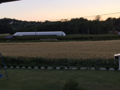 Plastenik je kupljen novcem dobivenim putem mjere 6.3.