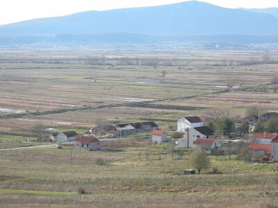 Pogled na Sinjsko polje
