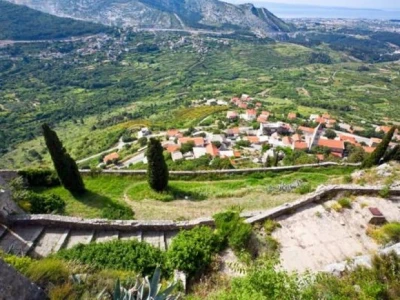 Kliško polje