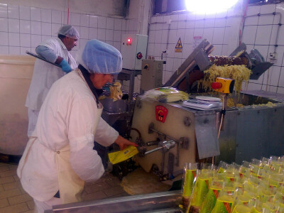 Proizvodni pogon porodice Ćulum