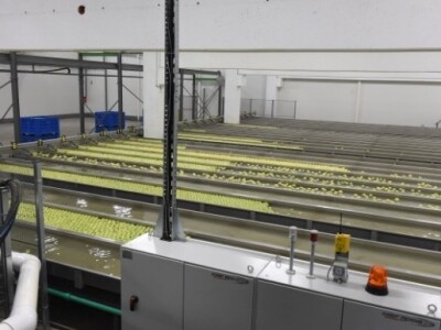 Pogon u "Podunavlju"