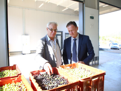 Pogon za preradu maslina i proizvodnju maslinovog ulja u Neumu Pogon za preradu maslina i proizvodnju maslinovog ulja u Neumu