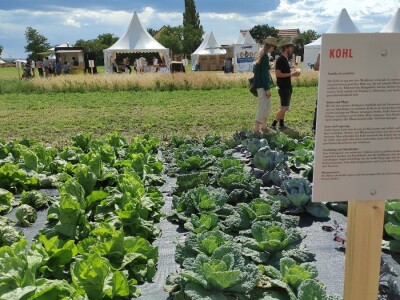 Ekološki dani polja u Gradišću-Biofeldtage 2021.