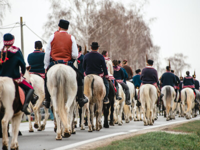 Pokladno jahanje u Branjinom Vrhu Pokladno jahanje u Branjinom Vrhu