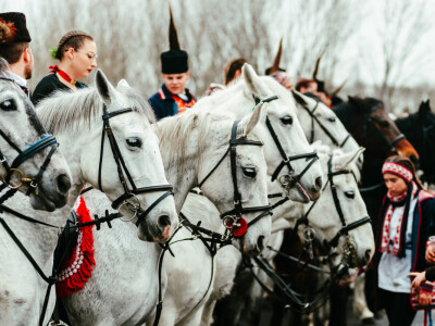 Pokladno jahanje u Branjinom Vrhu Pokladno jahanje u Branjinom Vrhu