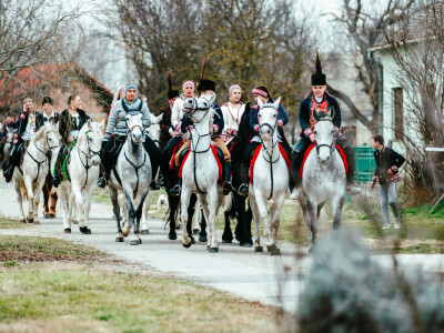 Pokladno jahanje u Branjinom Vrhu Pokladno jahanje u Branjinom Vrhu