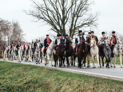Pokladno jahanje u Branjinom Vrhu Pokladno jahanje u Branjinom Vrhu