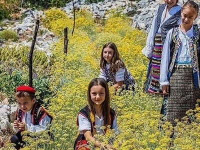 Pokrenula je proizvodnju prirodne kozmetike od smilja koje uzgaja na djedovini Pokrenula je proizvodnju prirodne kozmetike od smilja koje uzgaja na djedovini