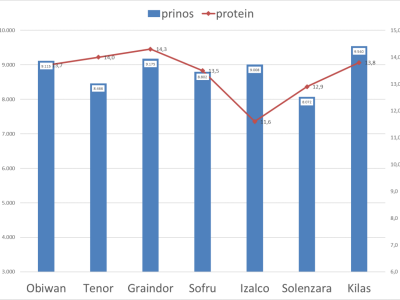 Pokus ozime pšenice na parcelama Alena Šopara