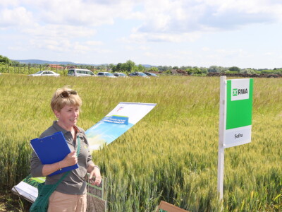 Pokus ozime pšenice na parcelama Alena Šopara