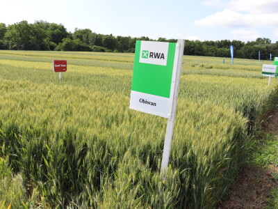 Pokus ozime pšenice na parcelama Alena Šopara