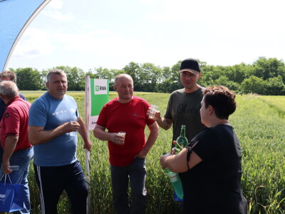 Pokus ozime pšenice na parcelama Alena Šopara