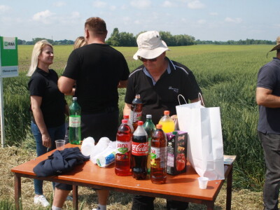Pokus RWA pšenica na polju tvrtke Artos