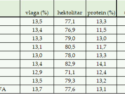 Pokus RWA pšenica na polju tvrtke Artos