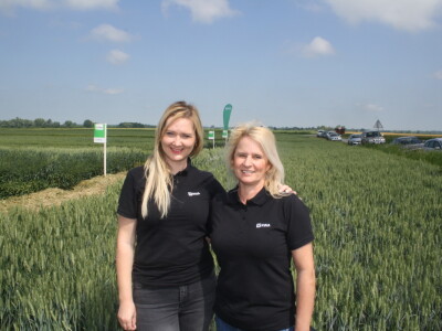 Pokus RWA pšenica na polju tvrtke Artos