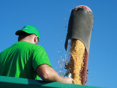 Pokusi hibrida kod Miklin Davora