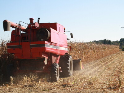 Pokusi hibrida kod Miklin Davora