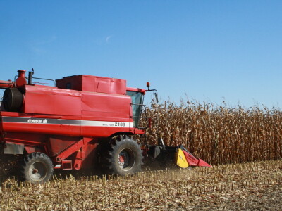 Pokusi hibrida kod Miklin Davora