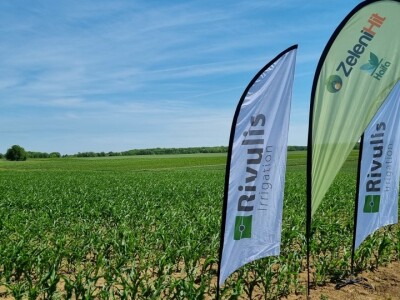 Pokusi navodnjavanja kukuruza Rivulis sistemima "kap po kap"