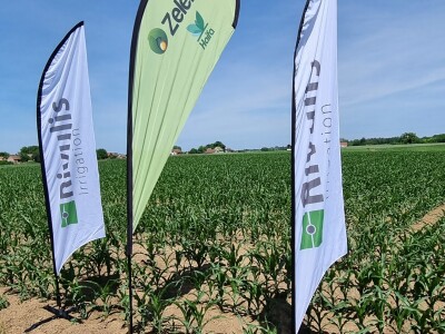 Pokusi navodnjavanja kukuruza Rivulis sistemima "kap po kap"